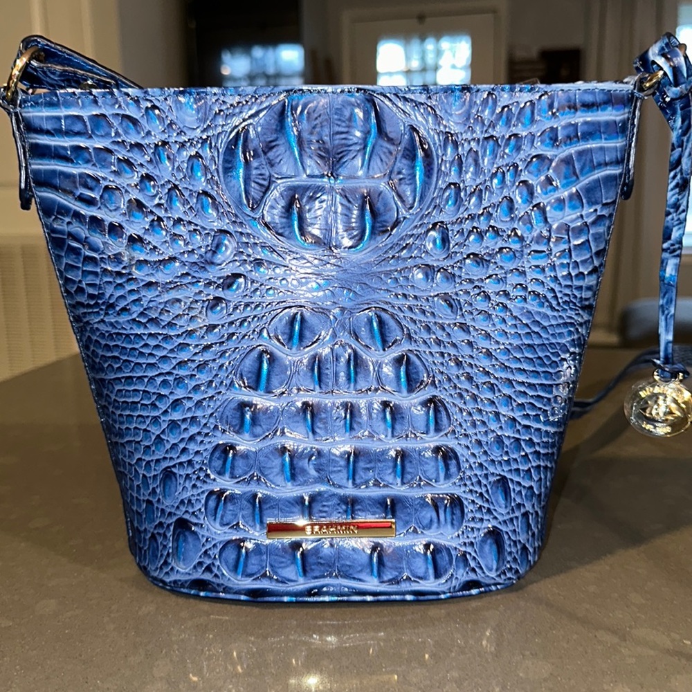 Brahmin Purse